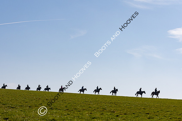 Newmarket