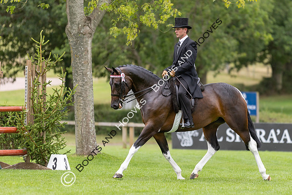 The Royal International Horse Show