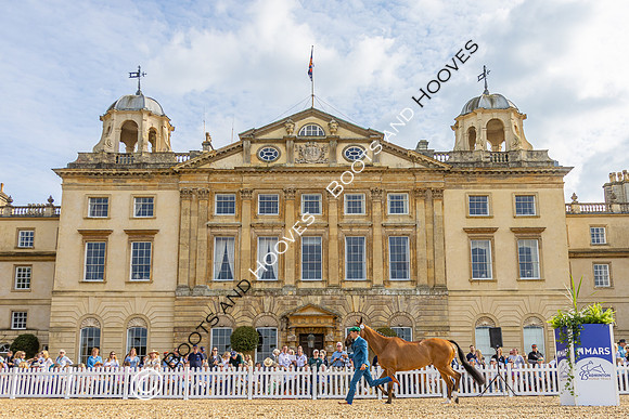 Badminton Horse Trials