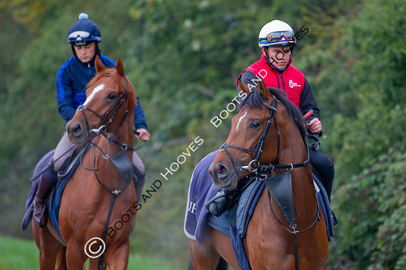 Newmarket