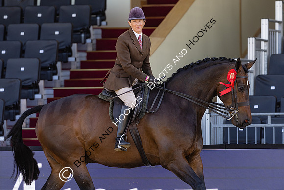 Royal Windsor Horse Show