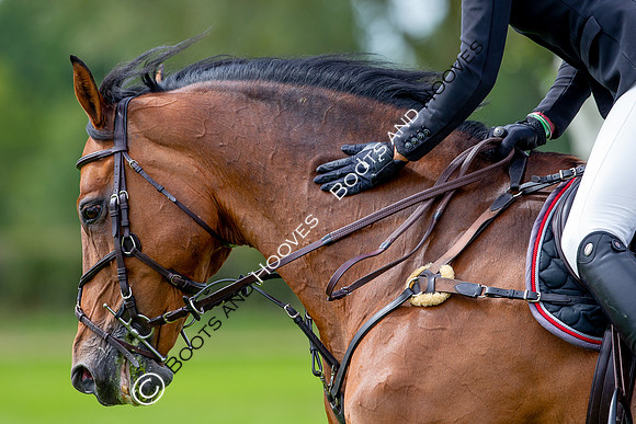 Science Supplements All England Jumping Championships
