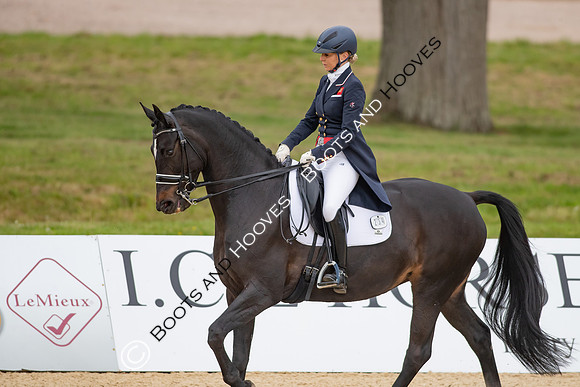 I.C.E Horseboxes All England Dressage Festival