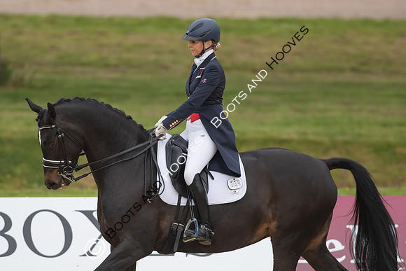 I.C.E Horseboxes All England Dressage Festival
