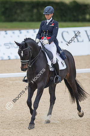 I.C.E Horseboxes All England Dressage Festival