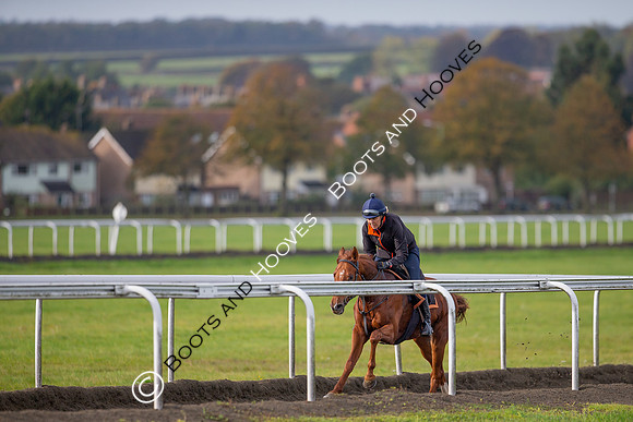 Newmarket