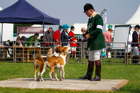 Festival of Hunting