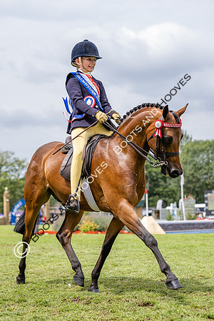 The Agria Royal International Horse Show