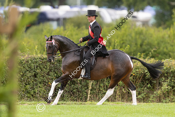 The Royal International Horse Show