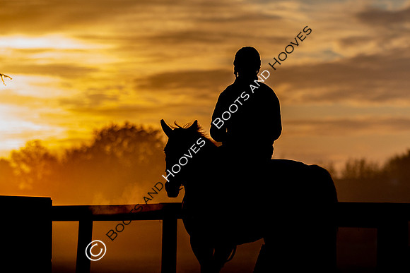Newmarket