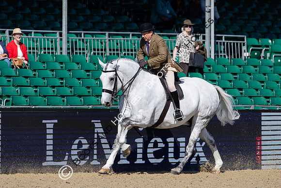 Royal Windsor Horse Show