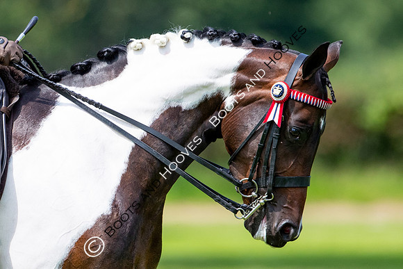 The Prenetics Royal International Horse Show