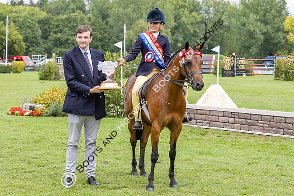 The Agria Royal International Horse Show