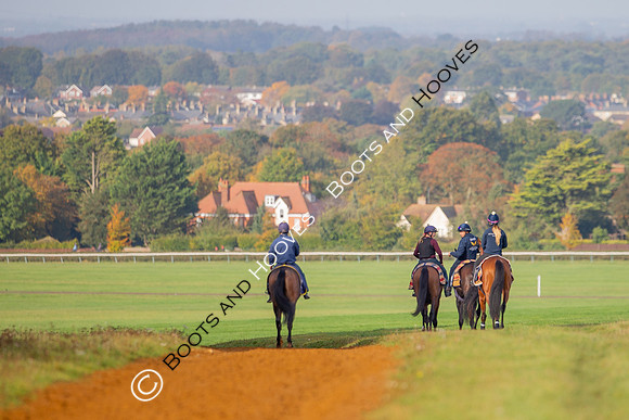 Newmarket