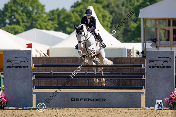 Royal Windsor Horse Show
