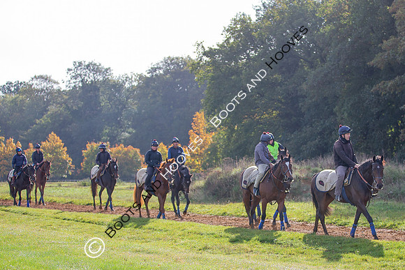 Newmarket