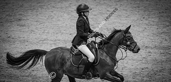 The London International Horse Show