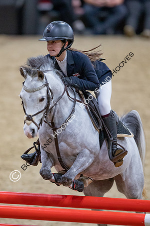 The London International Horse Show