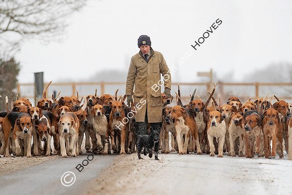 Hound Exercise