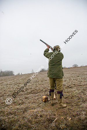 Dines Hall Game Shoot. 23/01/2019 ~ MANDATORY Credit Nick Gunn/Bootsandhooves - NO UNAUTHORISED USE - 07745 909676