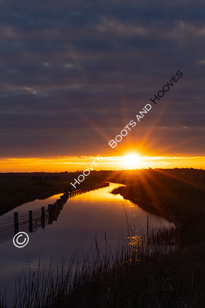 Wallasea