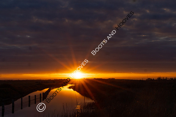 Wallasea