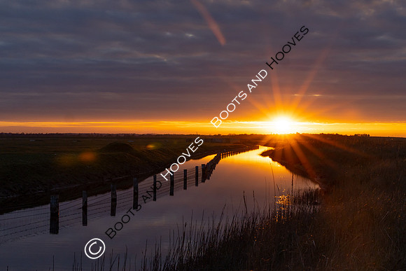 Wallasea