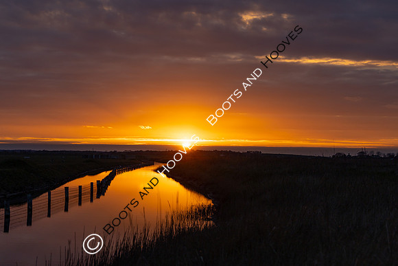 Wallasea