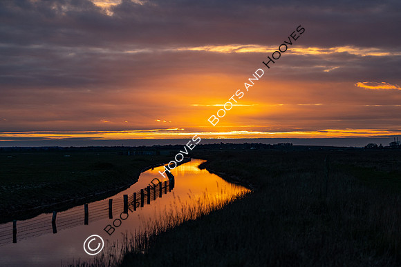 Wallasea