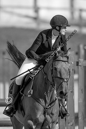 Science Supplements All England Jumping Championships