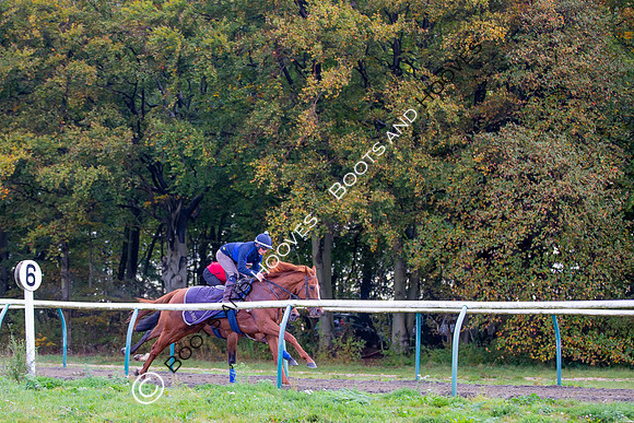 Newmarket