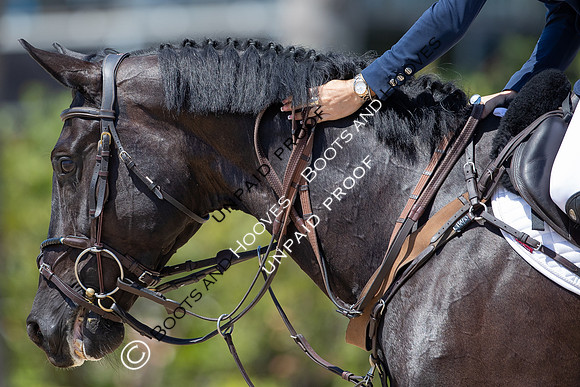 FEI Junior European Championship Young Riders, Juniors & Childre