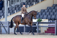 Royal Windsor Horse Show