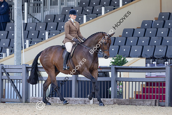 Royal Windsor Horse Show
