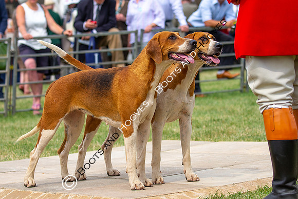 Festival of Hunting
