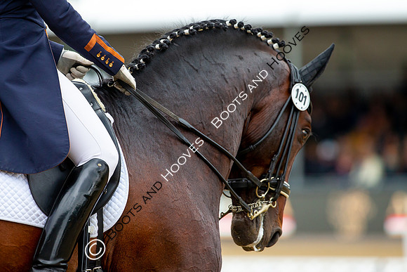 Royal Windsor Horse Show