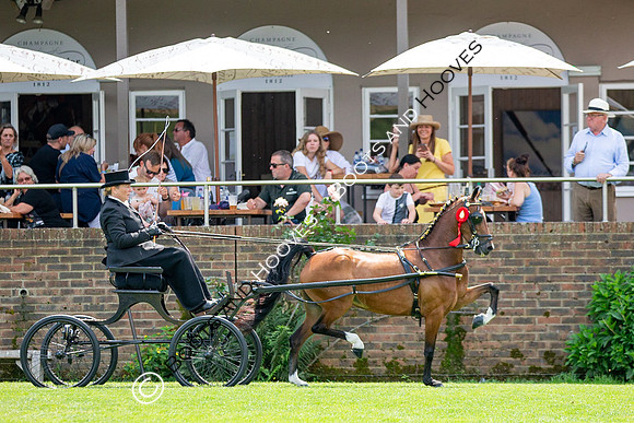 The Prenetics Royal International Horse Show