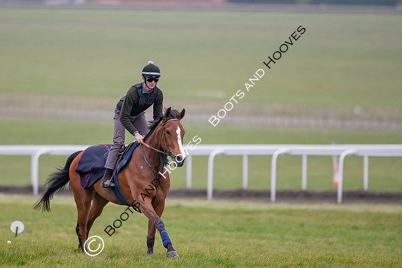 Newmarket Gallops