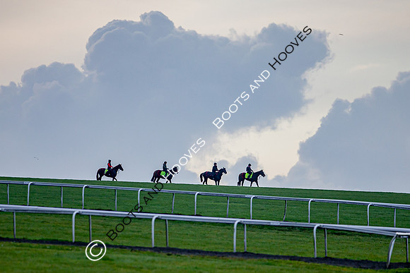 Newmarket