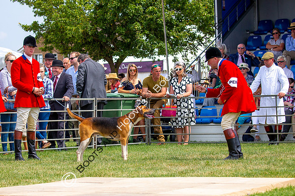 Festival of Hunting
