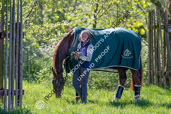 Badminton Horse Trials
