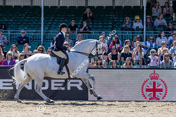 Royal Windsor Horse Show