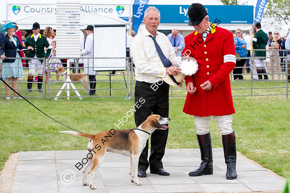 Festival of Hunting