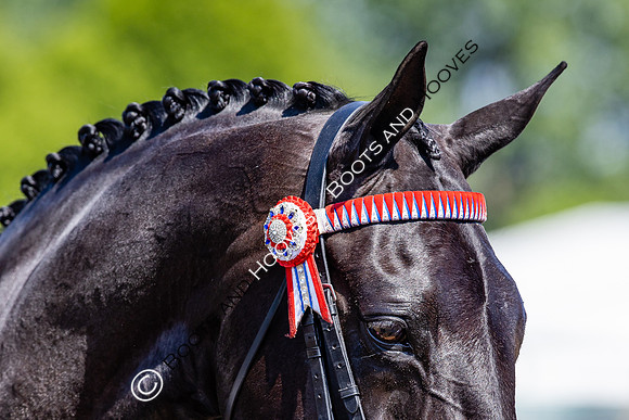 Royal Windsor Horse Show