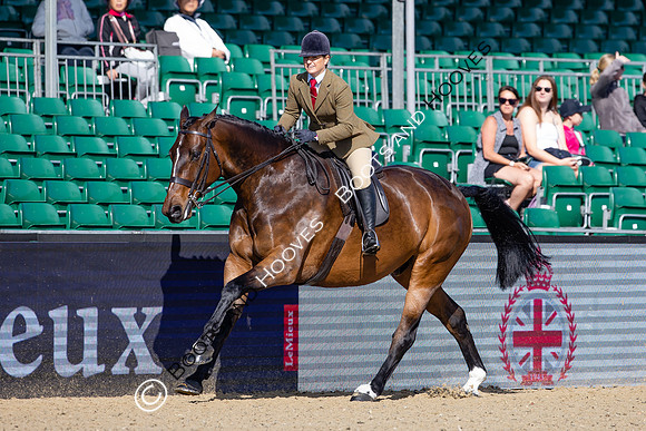 Royal Windsor Horse Show