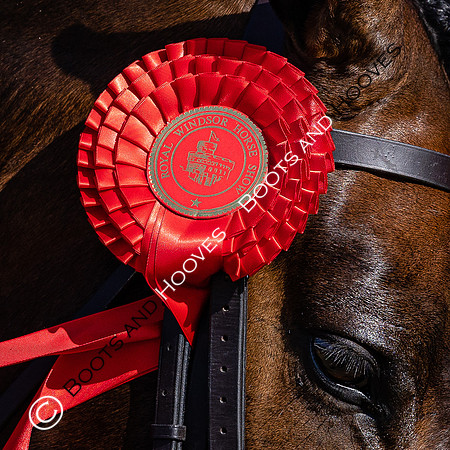 Royal Windsor Horse Show