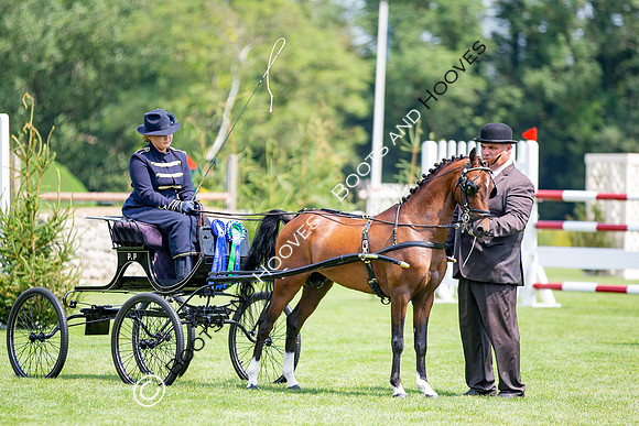 The Prenetics Royal International Horse Show