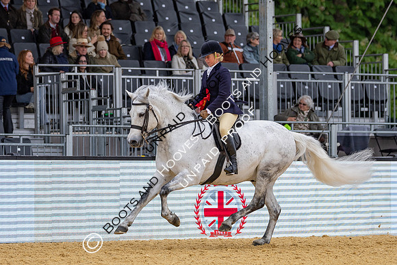 Royal Windsor Horse Show
