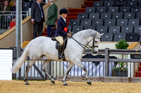 Royal Windsor Horse Show