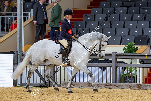 Royal Windsor Horse Show